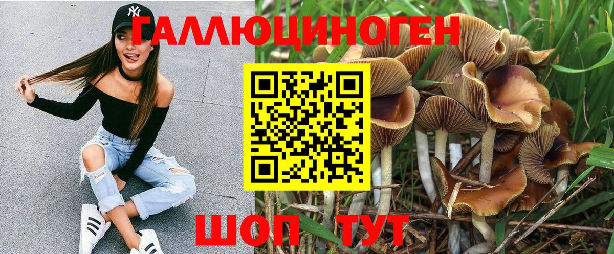 Псилоцибиновые грибы Magic Shrooms Астрахань