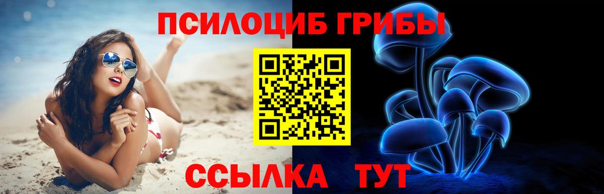 как найти закладки  Галлюциногенные грибы прущие грибы  Вход с VPN  Астрахань 